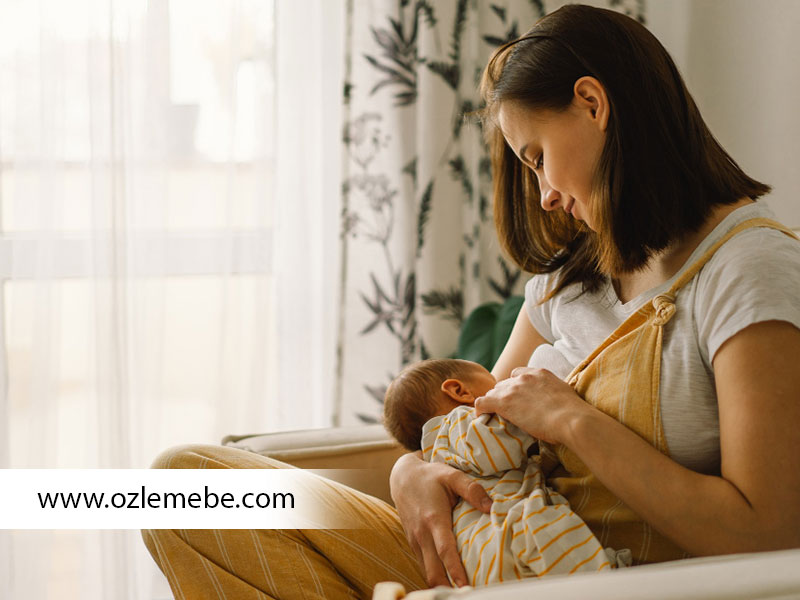 Anne Sütü ve Emzirmeye Hazırlık